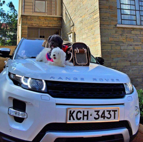 Vera Sidika's Range Rover 