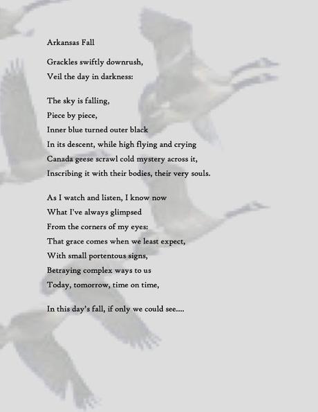 A Post-(U.S.) Election Poem