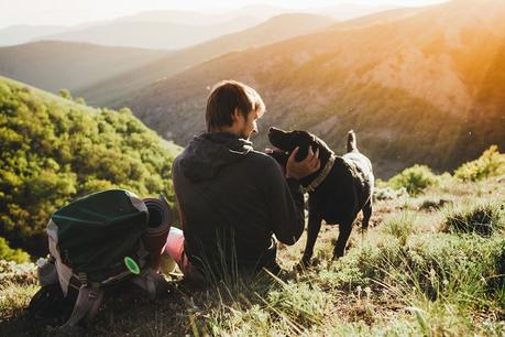 How to Travel with an Emotional Support Animals?