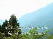 More Commentary White Evangelicals Elections: "Majority This Country's Washed-in-the-Blood/Now-Whiter-Than-Snow Christians Supported Peculiar Institution Crow Segregation Forever"