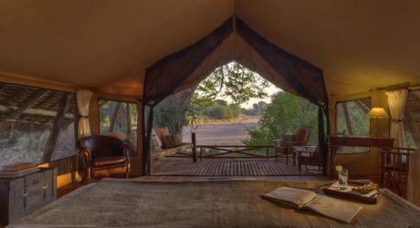 North or South: Which is the best Tanzania Safari?