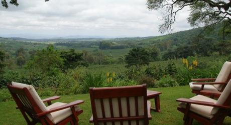 Valley views at Gibb's Farm, Lake Manyara & Ngorongoro Crater, Tanzania