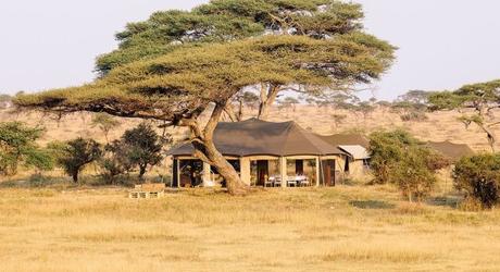 Hotel-Tanzania-Serengeti-Central-NamiriPlains-1