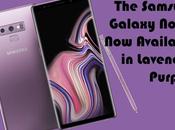 Celebrate Lavender Purple Samsung Galaxy Note9 Love More Pop-Up Experience Store Next Week