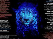 Cude Poetry: Mortification