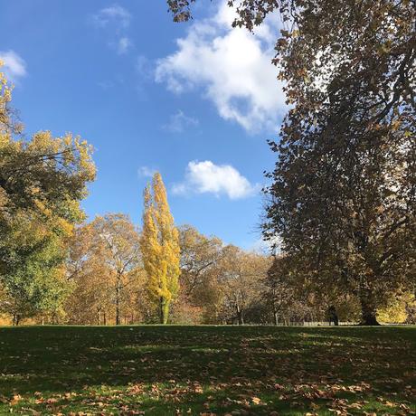 The Monday Photoblog… London In Autumn II