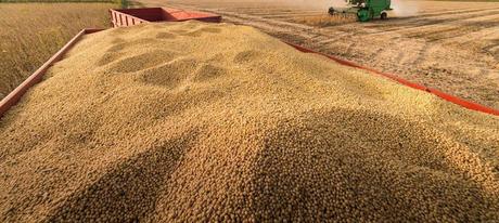 'HSSC' ~ Soy bean in transit - what constitutes 'inherent vice' !!