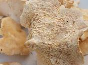 Easy-to-identify Edible Mushrooms