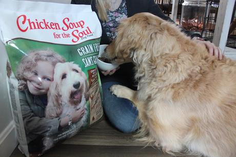 Why We Love Chicken Soup For the Soul Dog Food