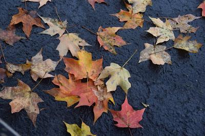 A Message from December