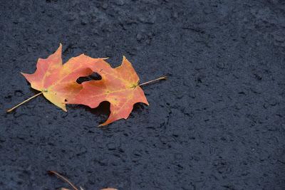 A Message from December