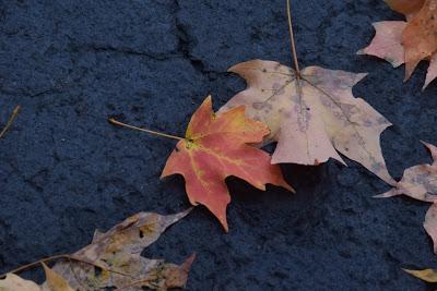 A Message from December