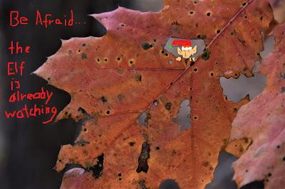 A Message from December