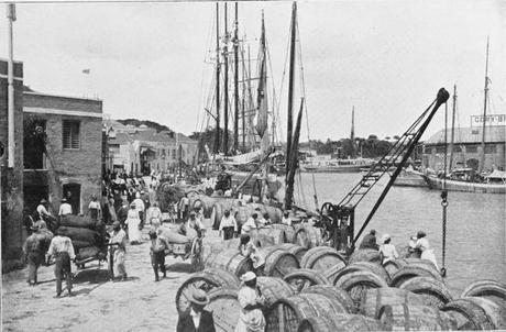Shipping sugar, Bridgetown, Barbados, 1909.