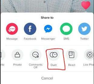How to make Duets video in Tik Tok