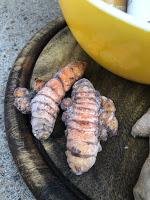 Healing From Our Roots:  The Ginger People® Turmeric Line