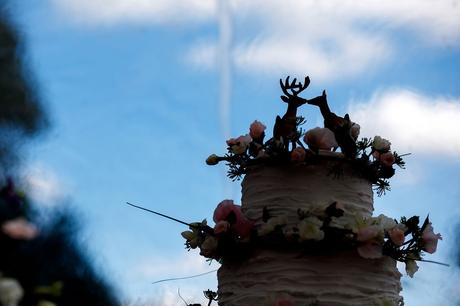 a silhouette of the wedding cake