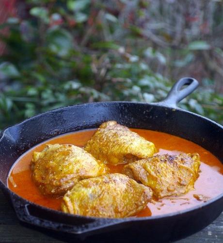 Hungarian Chicken Paprikash for Elizabeth of Hungary