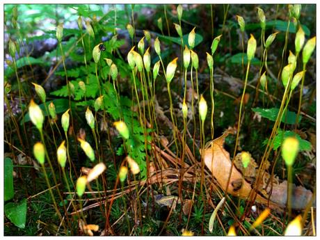 Thoughts on Impermanence – Collections Thoughts on Impermanence – Collections