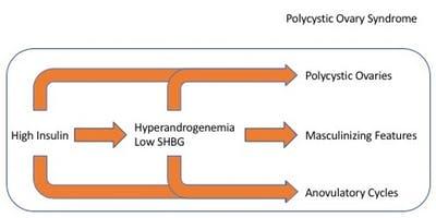 PCOS, anovulatory cycles and hyperinsulinemia – PCOS 9