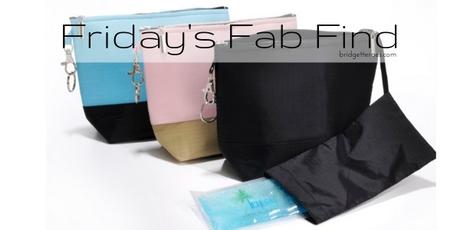Friday’s Fab Find: Icy Bag