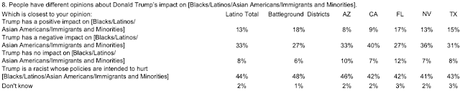 Hispanic Voters Helped Punish GOP In The Midterm Election