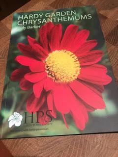 Book Review - Hardy Garden Chrysanthemums by Judy Barker