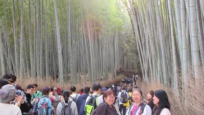 Visit These Attractions with Your JR Kansai WIDE Area Pass