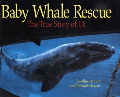 BABY WHALE RESCUE: The True Story of J.J., now available as an E-Book