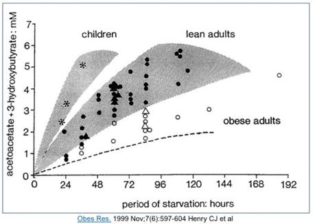 Does fasting burn muscle?