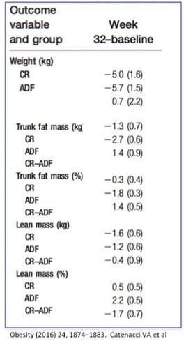 Does fasting burn muscle?