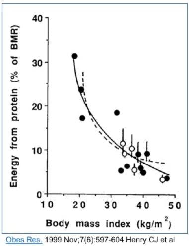 Does fasting burn muscle?