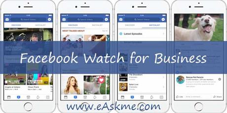 Facebook Watch | Everything You Need to Know