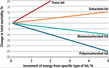 Dietary fat: From foe to friend?
