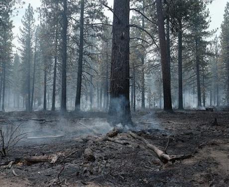 Controlled burn outside of Bend, Oregon, 2018 By Kate Truisi Fraction Holiday Print Sale