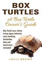 Image: Box Turtles: Box Turtle care, where to buy, types, behavior, cost, handling, husbandry, diet, and much more included! A Box Turtle Owner's Guide, by Lolly Brown (Author). Publisher: NRB Publishing (January 12, 2017)