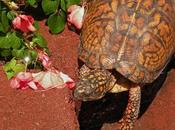 November 27th Freebies!