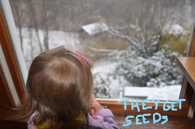 Josie and the Snowy Day