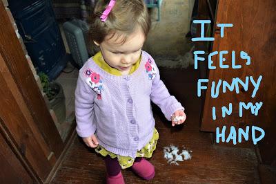 Josie and the Snowy Day