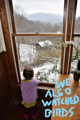 Josie and the Snowy Day