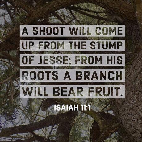 Thirty Days of Jesus Redux: Day 2