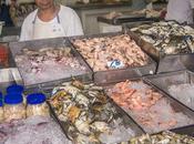 Panama City Fish Market: Mercado Mariscos