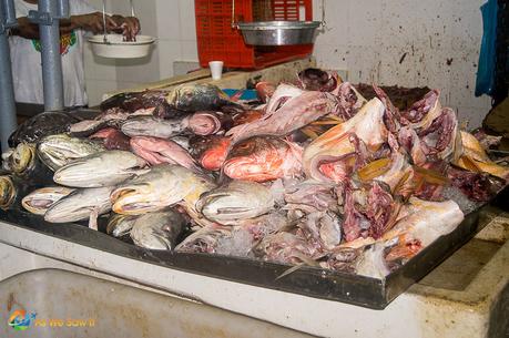 Panama City Fish Market: Mercado de Mariscos