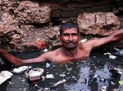 Causes, Effects Solutions Manual Scavenging