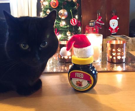 News: Glasgow Foodie Christmas News: Glasgow Foodie Christmas