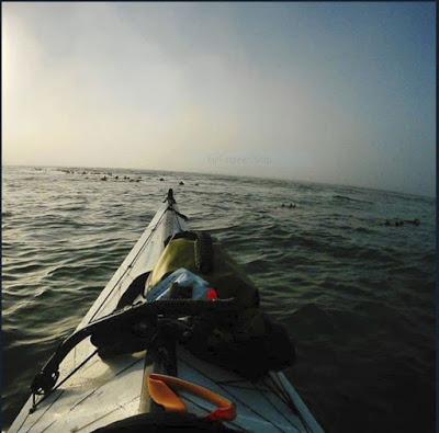 John Allen Chau's death stuns, angers, and perplexes the world