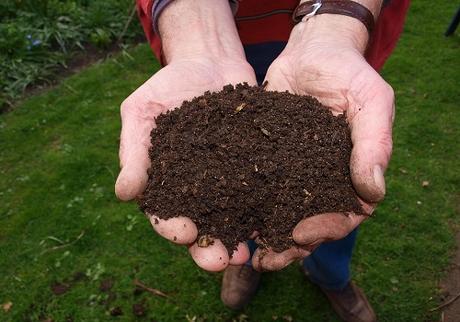 5 Ways to Compost Your Disposables