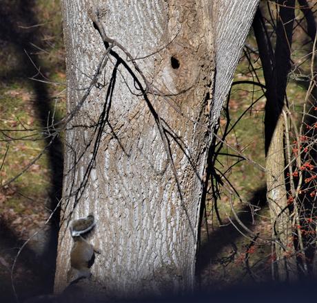 The Wild Life -- Outside My Window