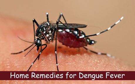 How to Prevent and Treat Dengue with Home Remedies ?
