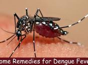 Prevent Treat Dengue with Home Remedies